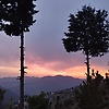 manohari_76563