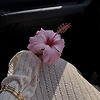 Chaima_28