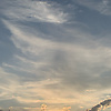 lilly_72978
