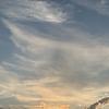 lilly_72978
