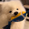 user_52080