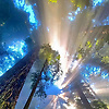 user_80708