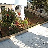 ali_77147