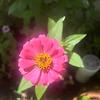 angela_43536