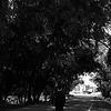 anouar_53925