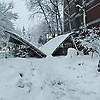 user_213219