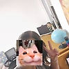 nika_kotik.