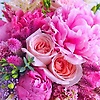 favour_56383