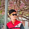 solomon_32135