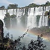 roo_27885