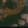 MoonInLetters