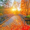 bar_65553
