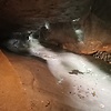 Tuoni
