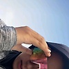 fitri_21146