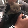 hans_63804