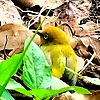 nathan_39198