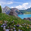 dawinci