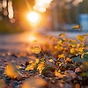 user_39149