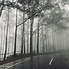 anne_86089