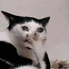 mike_90964