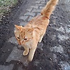 bey_47481