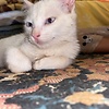 fatima_17479