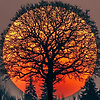 annie_10885