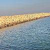 abrar_60672
