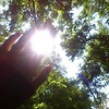 As_sel