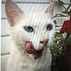 user_73786
