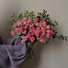 Zinee_db