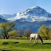 alan_73992