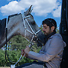 hamdan_92596