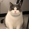 Alina04.19