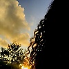 magzy_91038