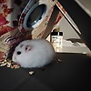 user_81201
