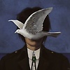 ezio_34665
