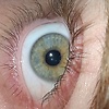 daniel_53186