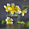 manu_43079