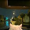 bnsalma_15399