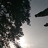 kamal_80364