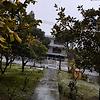 mohamad_34501