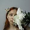 sofiasheft