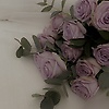 imanetj_64588
