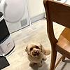 williams_52386