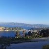 saad_87402