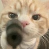 matt051