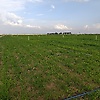 ali_77802