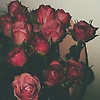 nour_31641