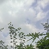 alex_86864